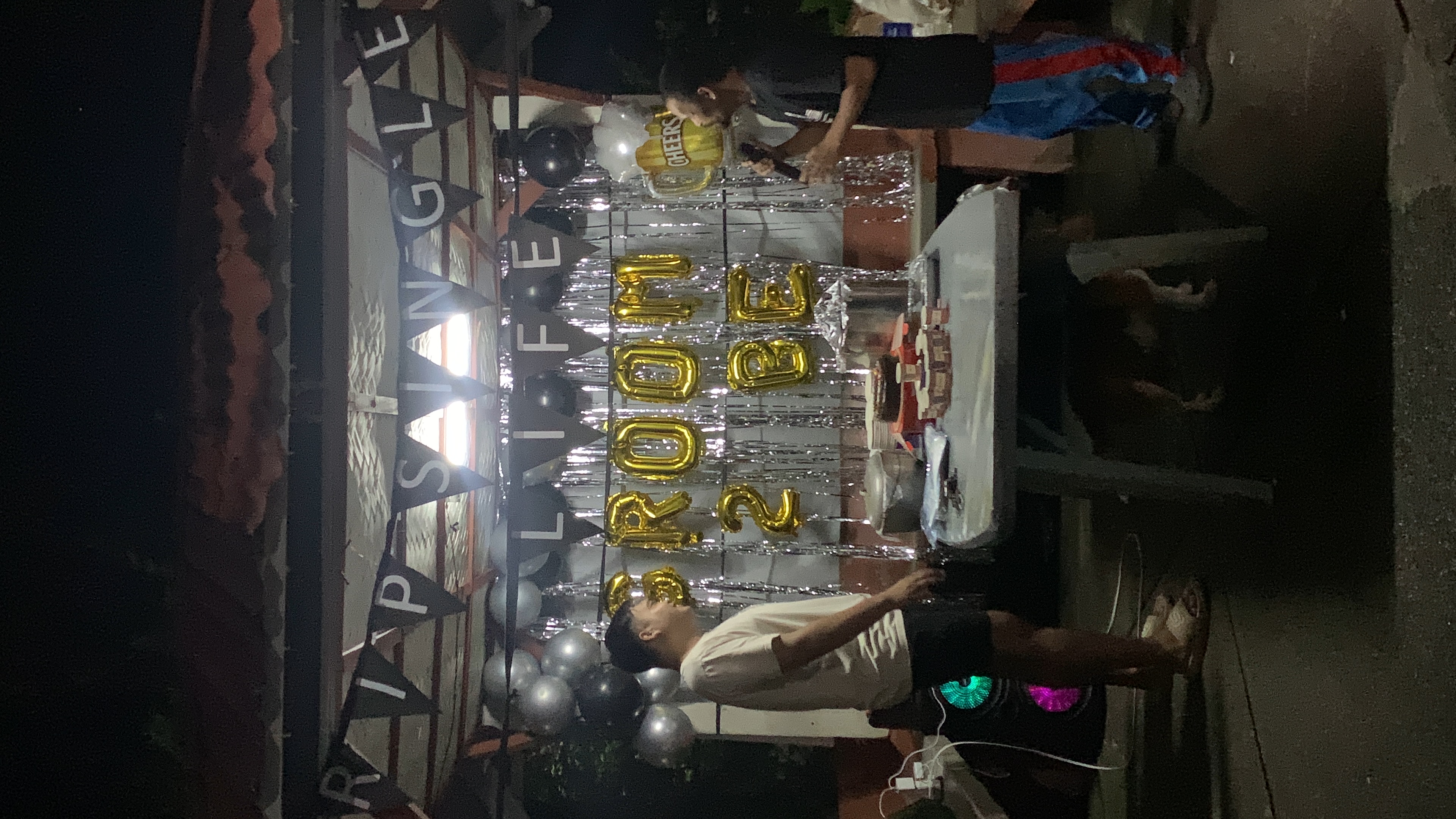 Bachelors Party - Final Moments